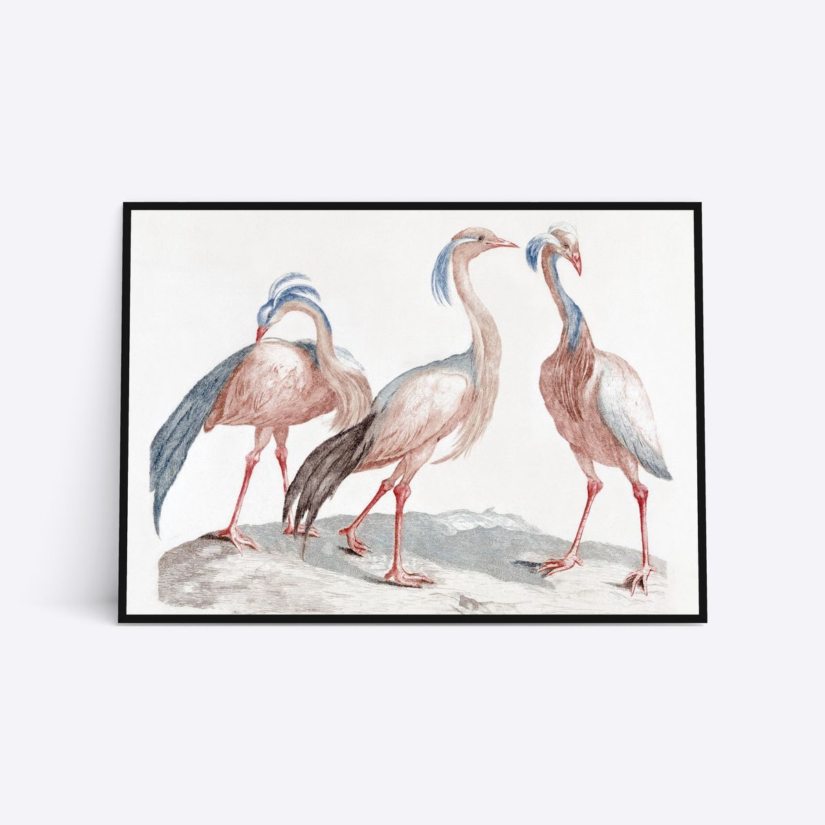 Three Birds - 21x30 cm