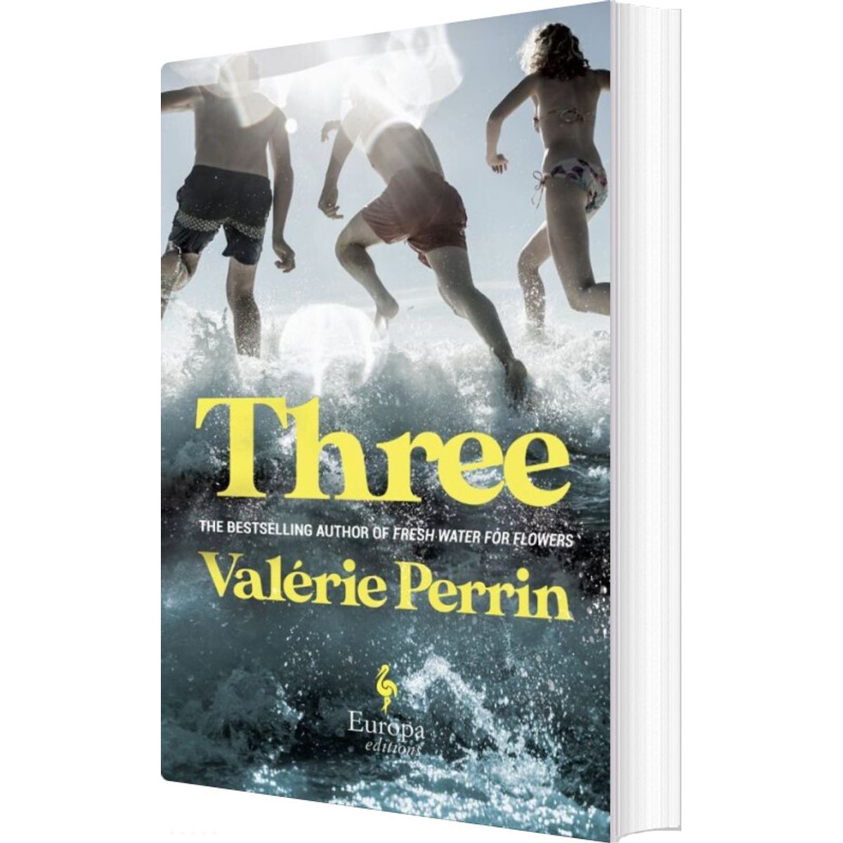 Three - Valérie Perrin - English Book