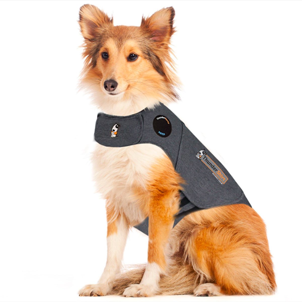 Thundershirt den bedste løsning mod angst hos hunde-S