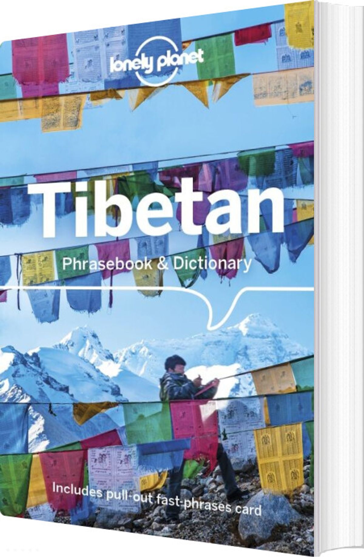 Tibetan Phrasebook & Dictionary - Diverse - English Book