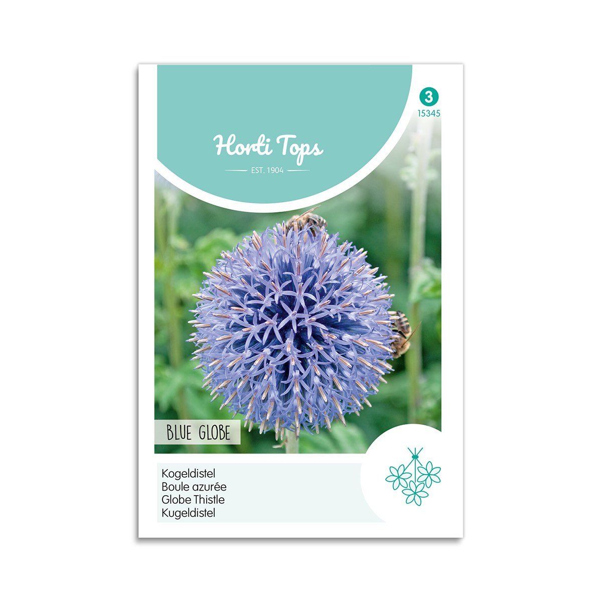 Tidselkugle frø "Blue Globe" - Horti Tops