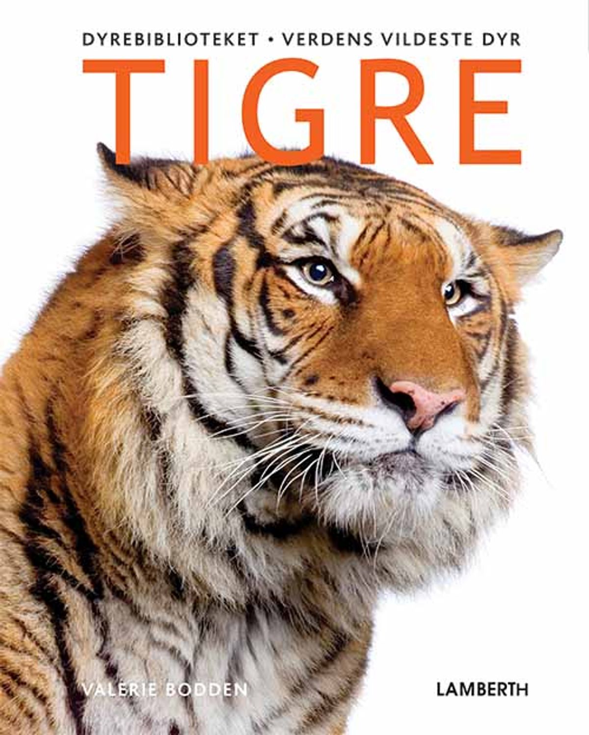 Tigre