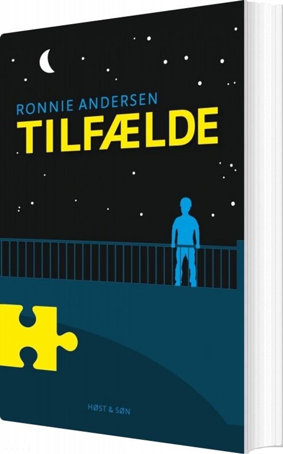 Tilfælde - Ronnie Andersen - Bog