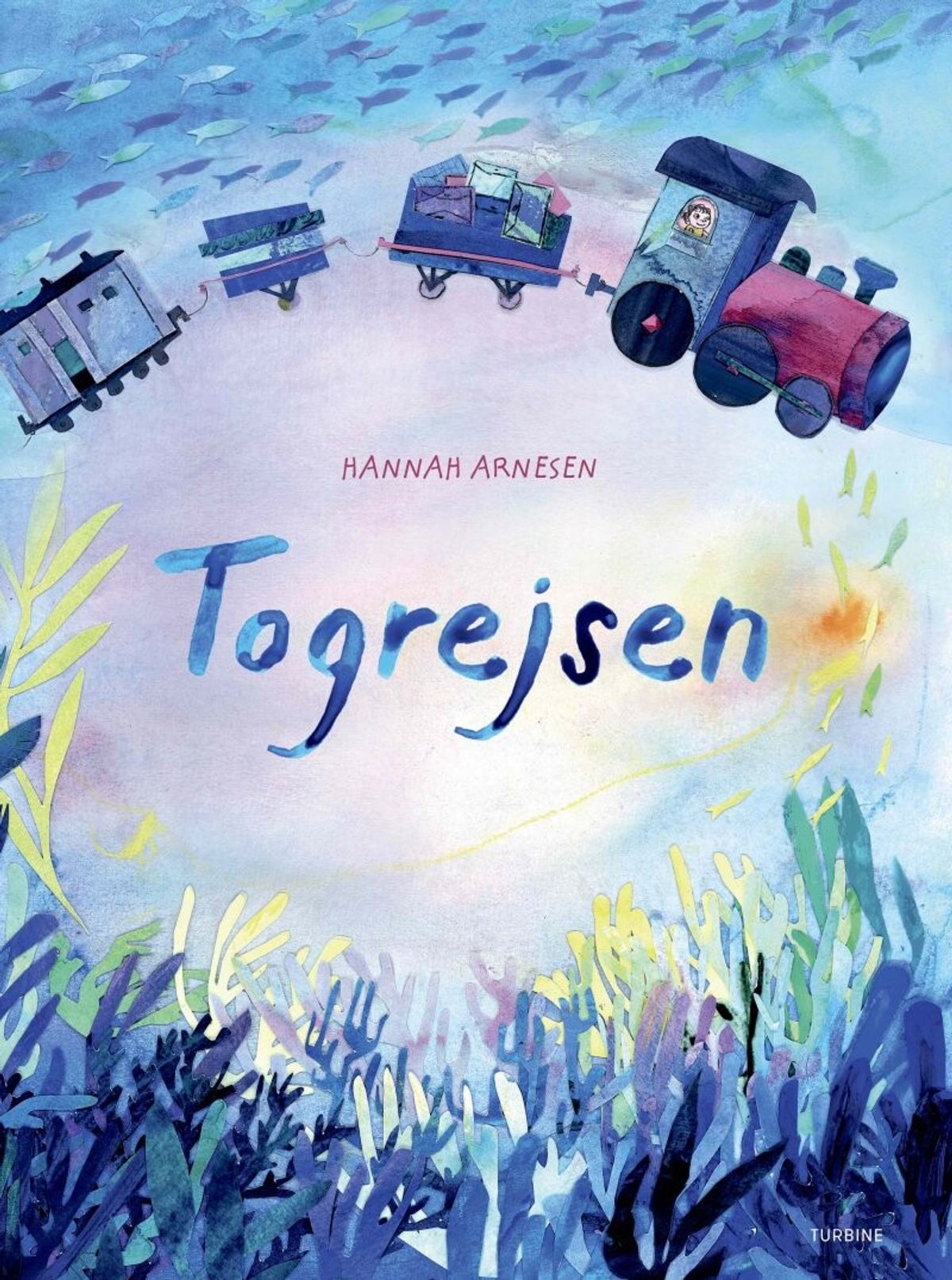 Togrejsen - Hannah Arnesen - Bog