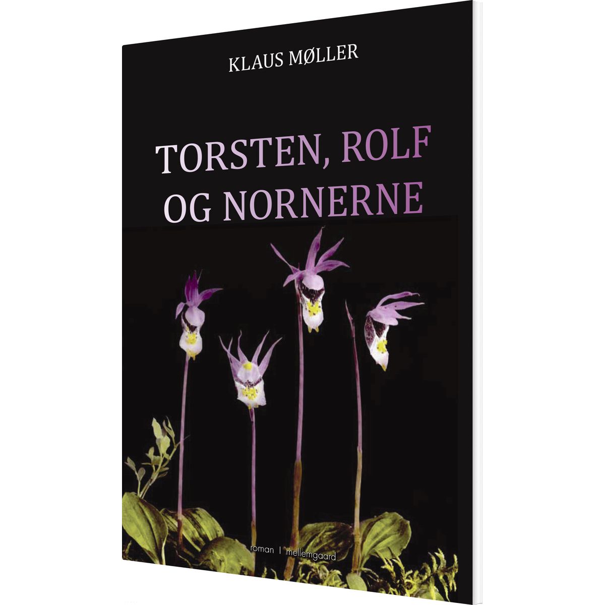 Torsten, Rolf Og Nornerne - Klaus Møller - Bog