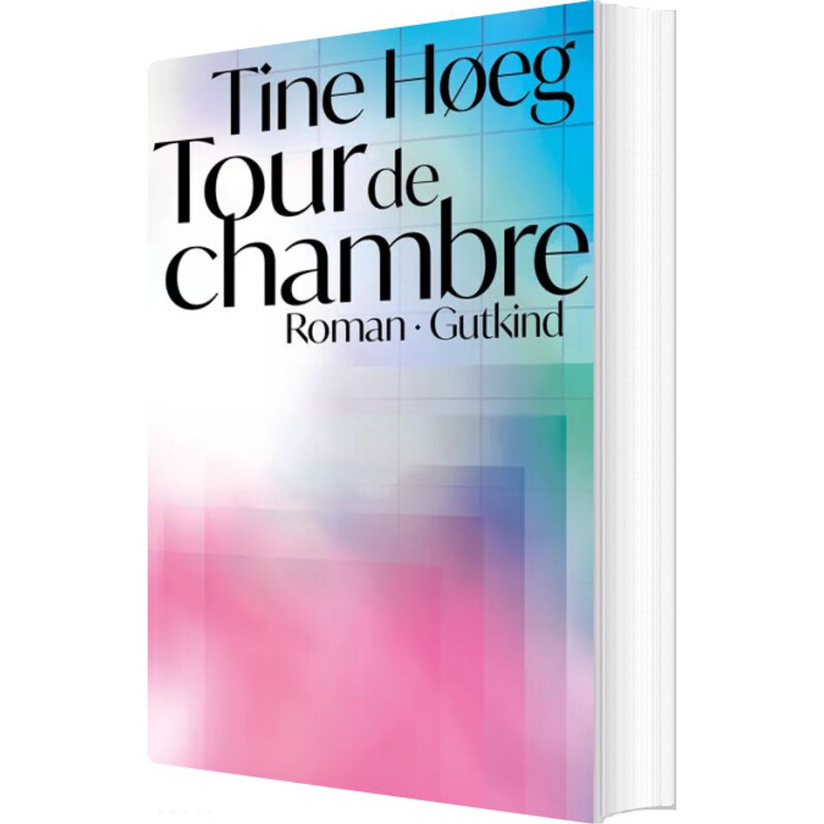 Tour De Chambre - Tine Høeg - Bog