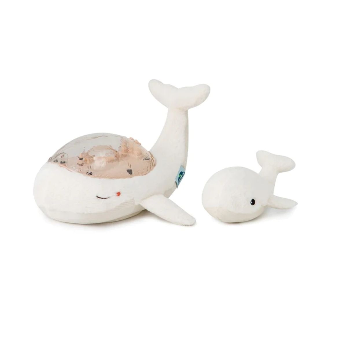 Tranquil Whale, White