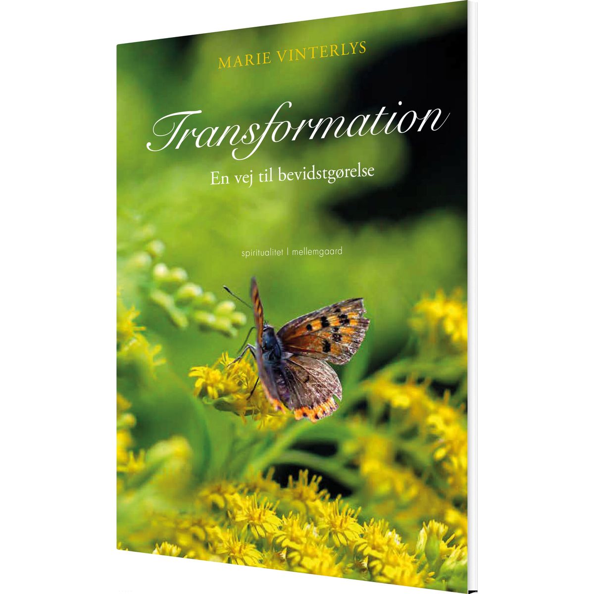 Transformation - Marie Vinterlys - Bog