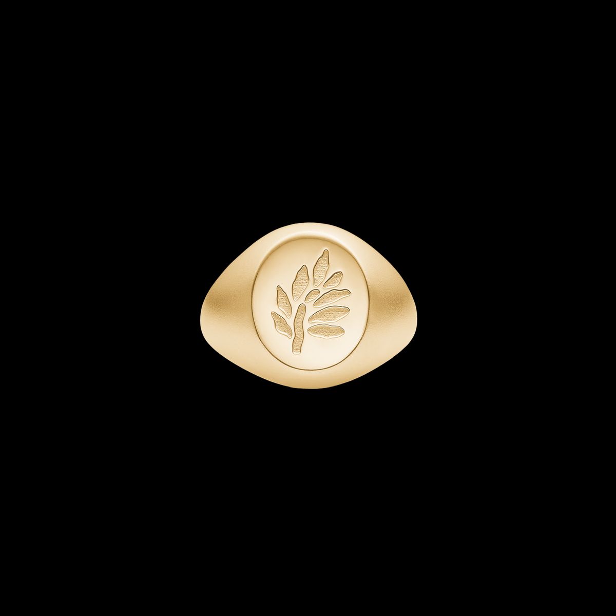 Tree of Life Signet Ring