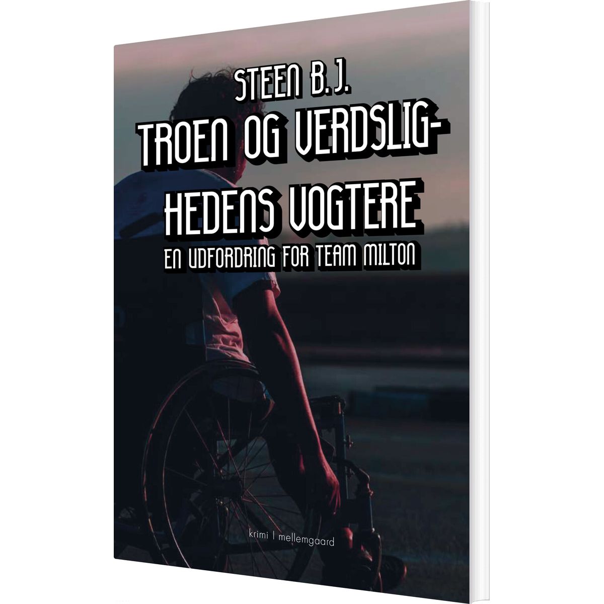 Troen Og Verdslighedens Vogtere - Steen B.j - Bog