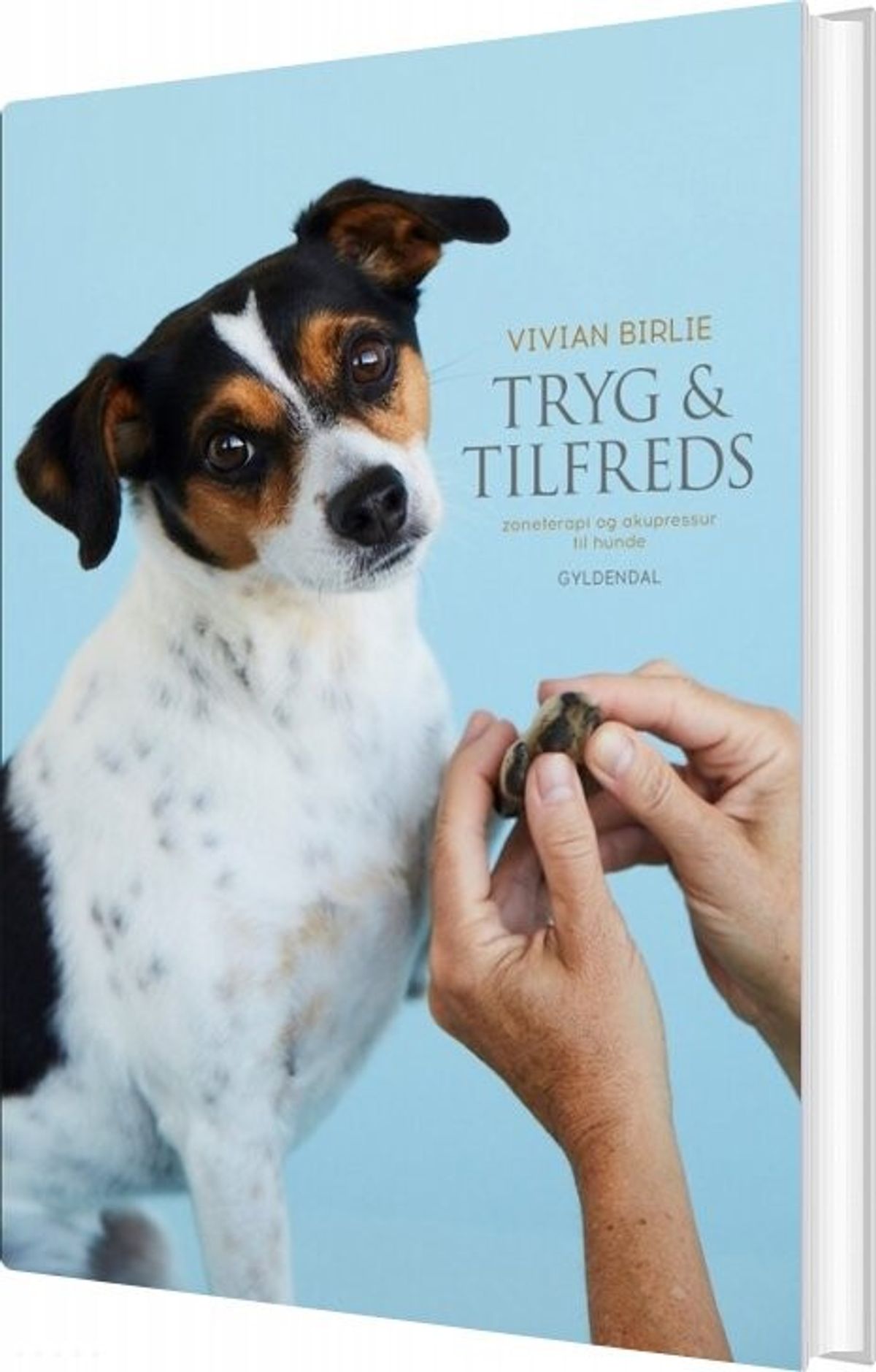 Tryg Og Tilfreds - Vivian Birlie - Bog