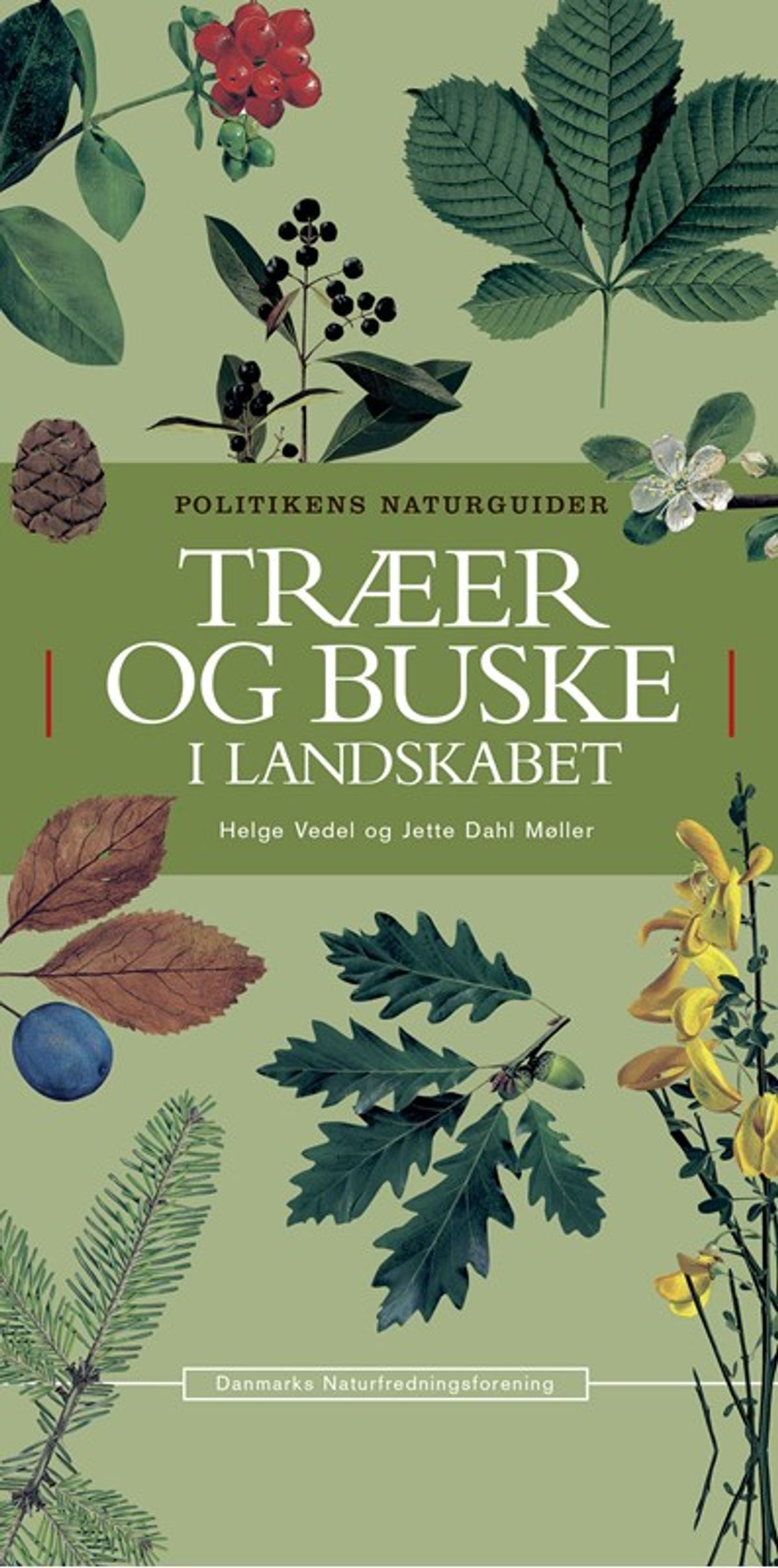 Træer og buske i landskabet