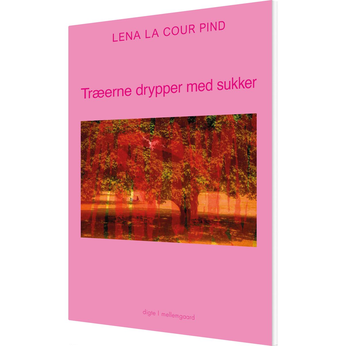 Træerne Drypper Med Sukker - Lena La Cour Pind - Bog