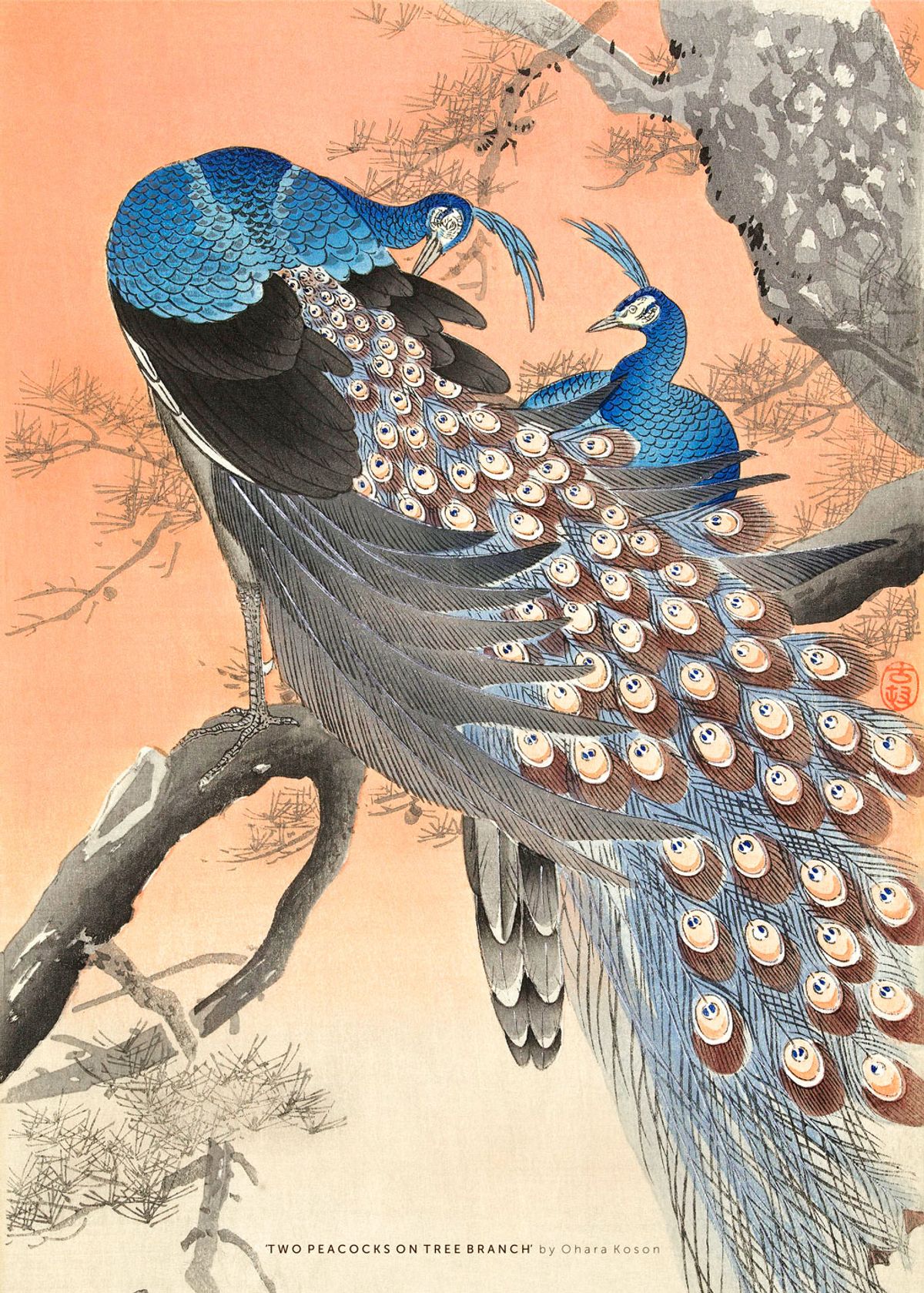 Two Peacocks on Tree Branch af Plakatwerket