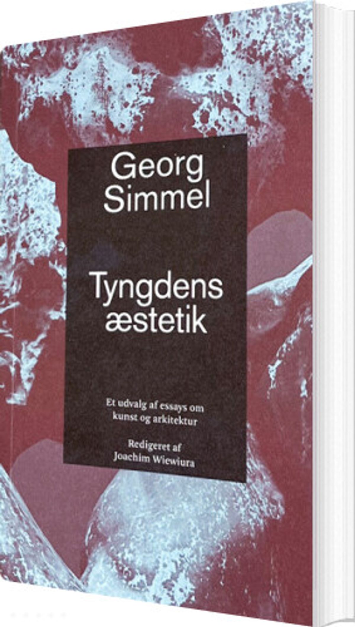 Tyngdens æstetik - Georg Simmel - Bog