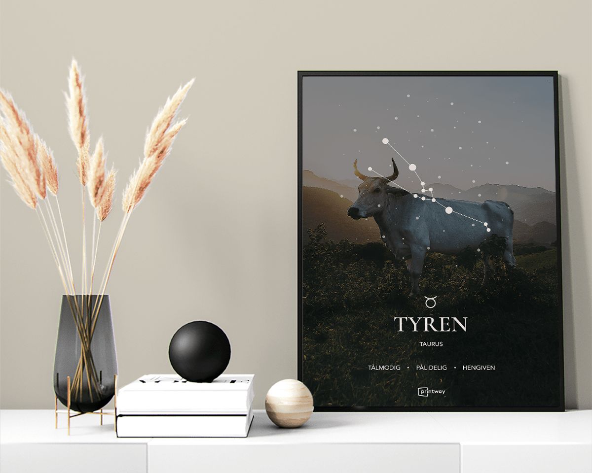 Tyren Stjernetegn Plakat Motiv 50×70 cm (B2)