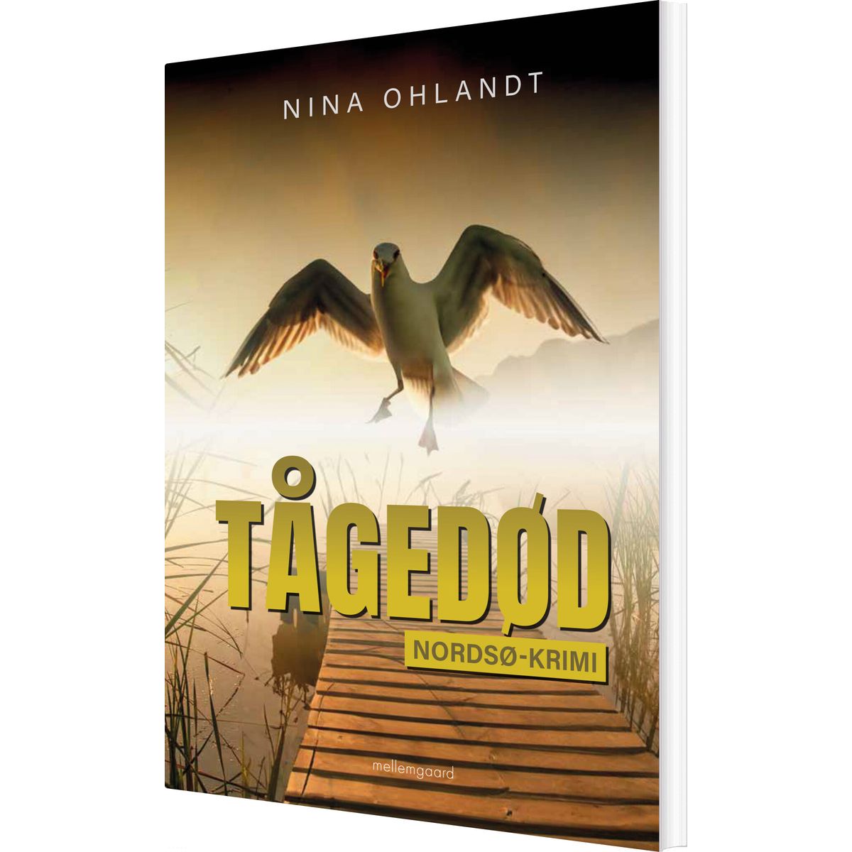 Tågedød - Nina Ohlandt - Bog