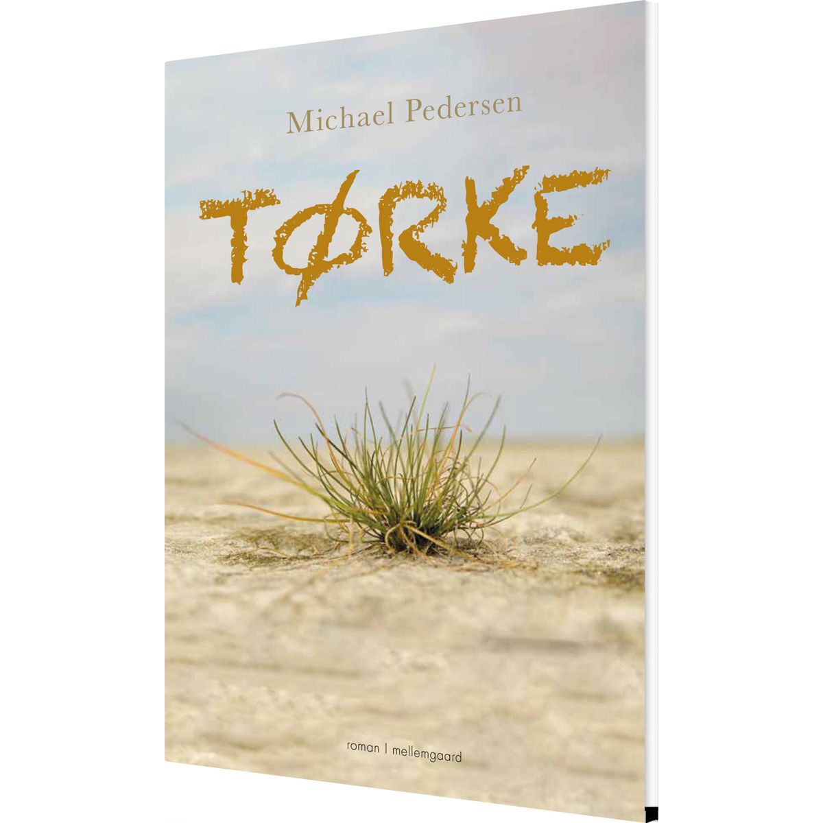 Tørke - Michael Pedersen - Bog