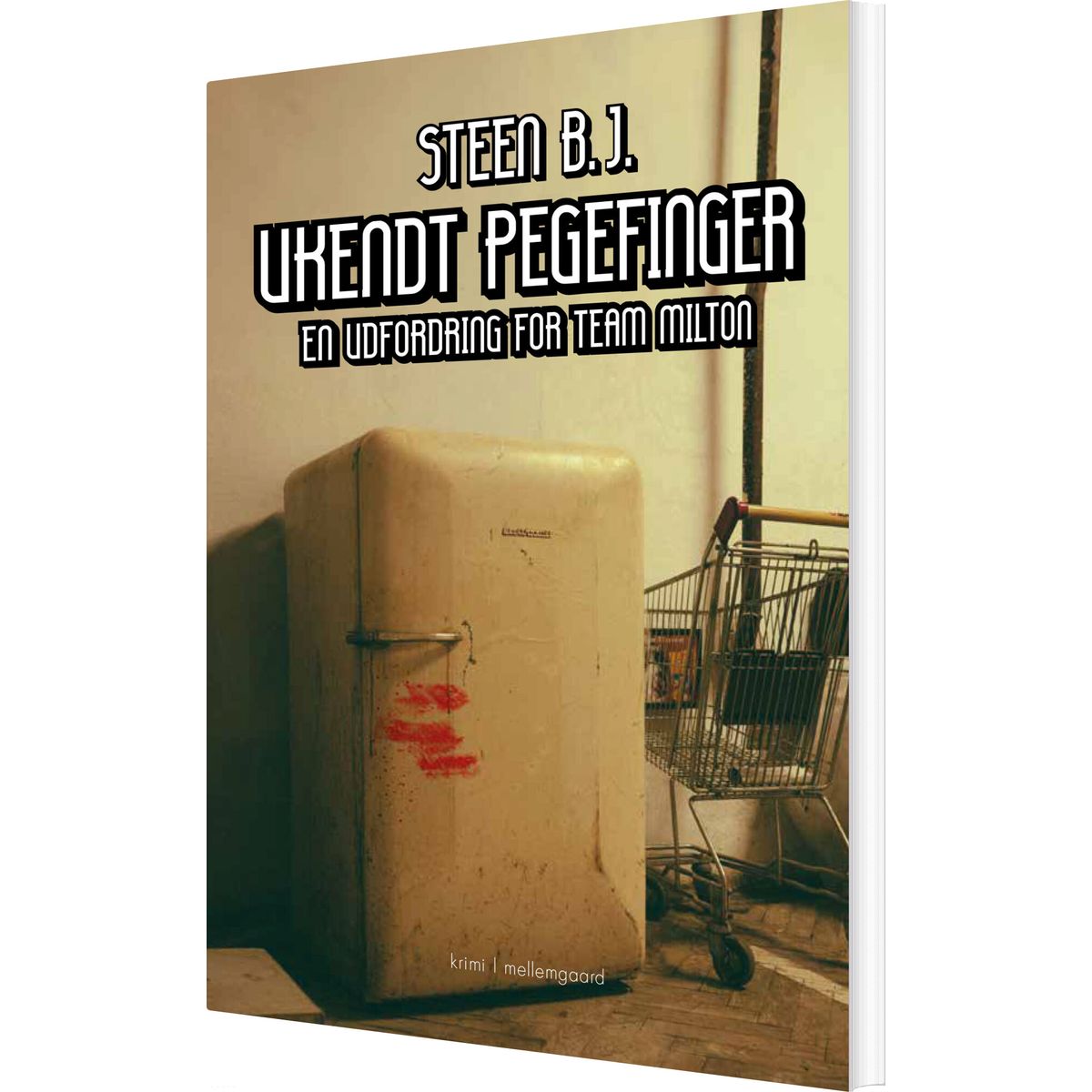 Ukendt Pegefinger - Steen B.j - Bog