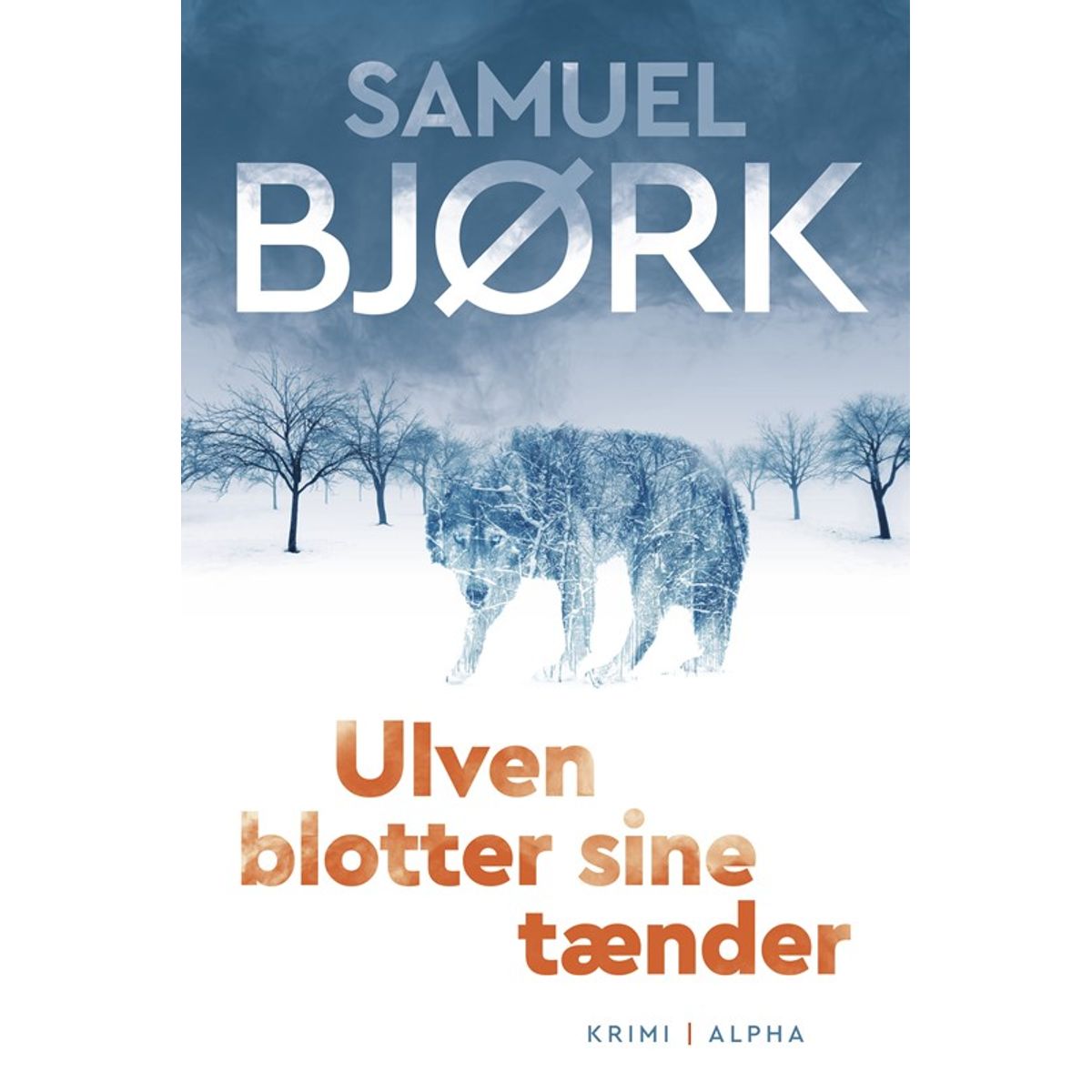 Ulven blotter sine tænder