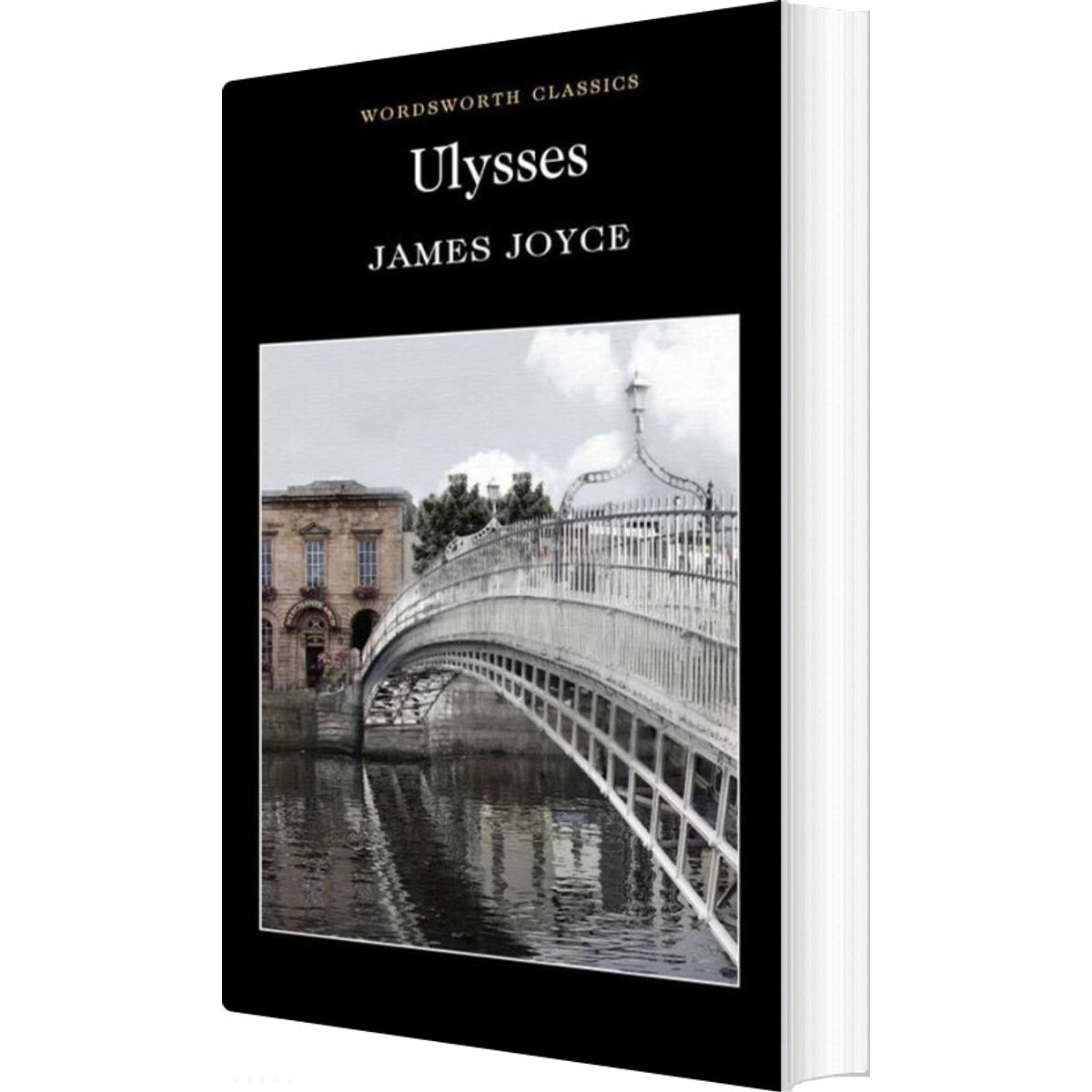 Ulysses - James Joyce - English Book