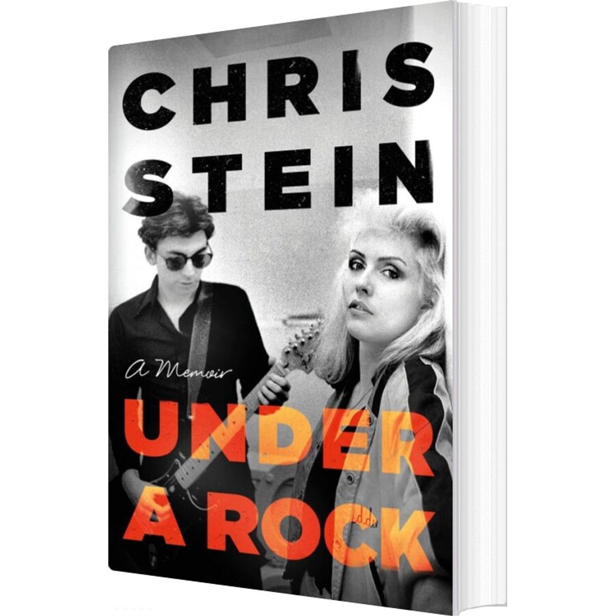 Under A Rock - Chris Stein - English Book