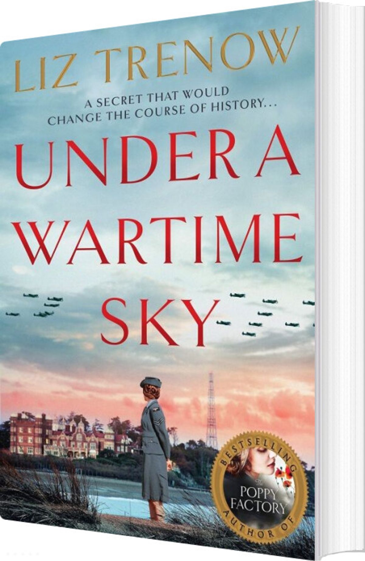 Under A Wartime Sky - Liz Trenow - English Book