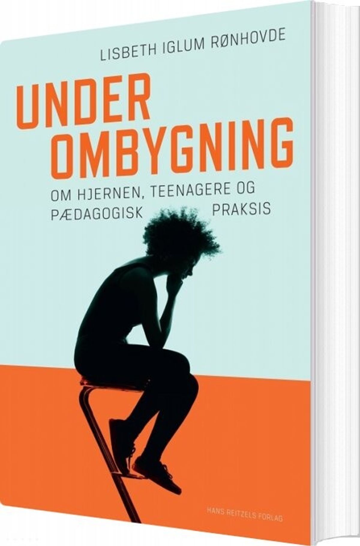 Under Ombygning - Lisbeth Iglum Rønhovde - Bog