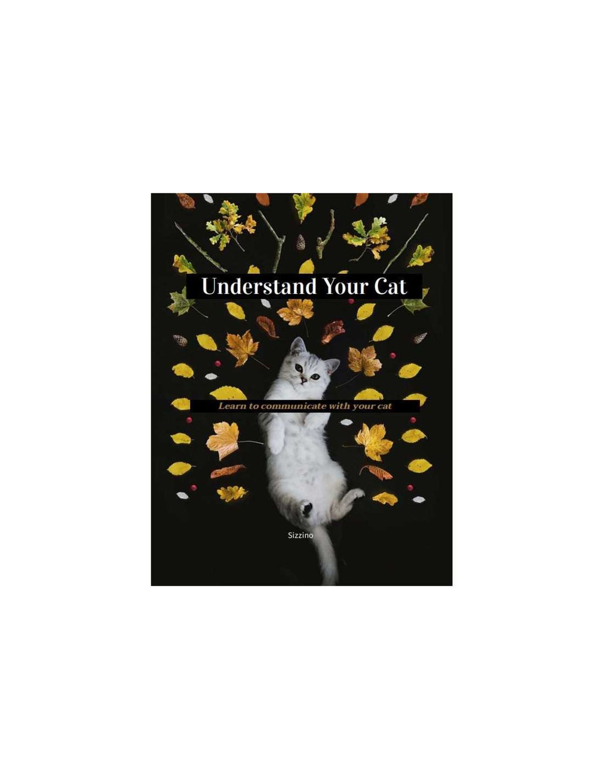 Understand Your Cat - Learn to communicate with your cat