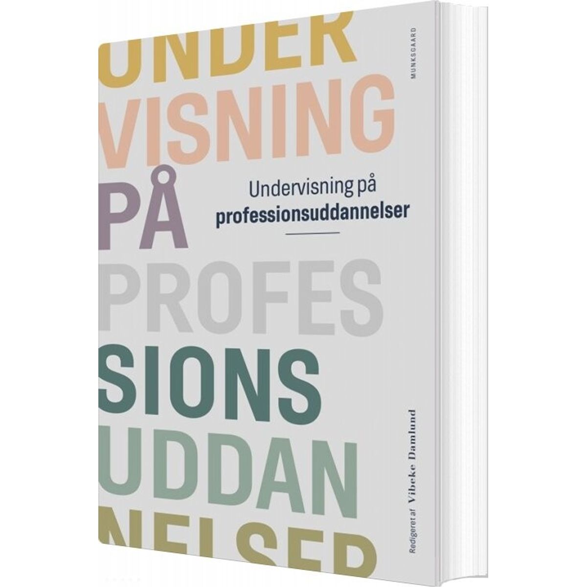 Undervisning På Professionsuddannelser - Lene Poulsen - Bog