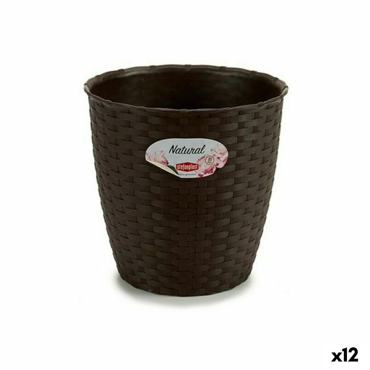 Urtepotte Stefanplast Plastik Chokolade 19 x 17,5 x 19 cm (12 enheder)