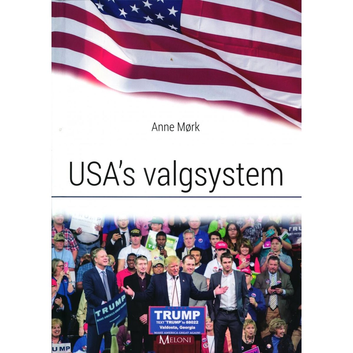 Usa's Valgsystem - Anne Mørk - Bog