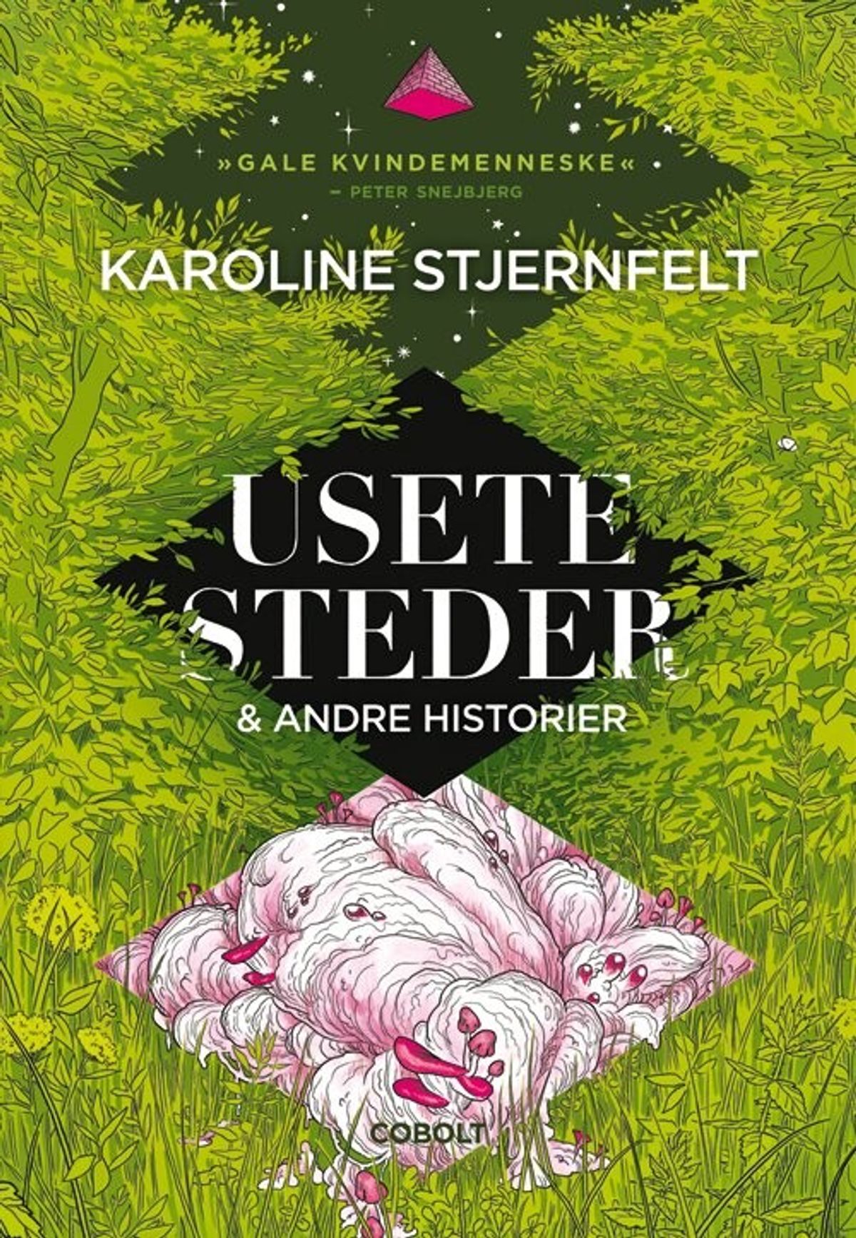 Usete Steder - Karoline Stjernfelt - Tegneserie