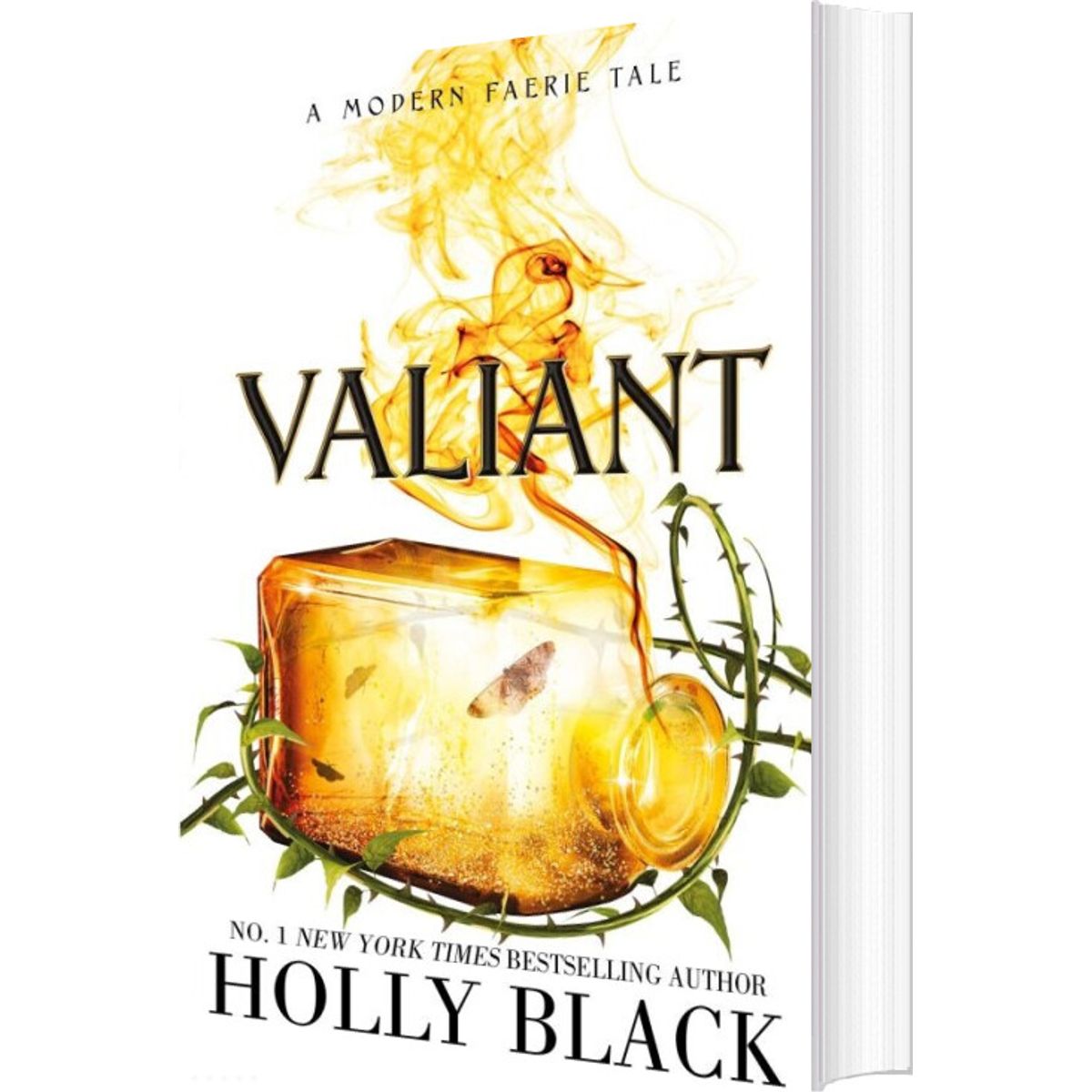 Valiant: A Modern Faerie Tale - Holly Black - English Book