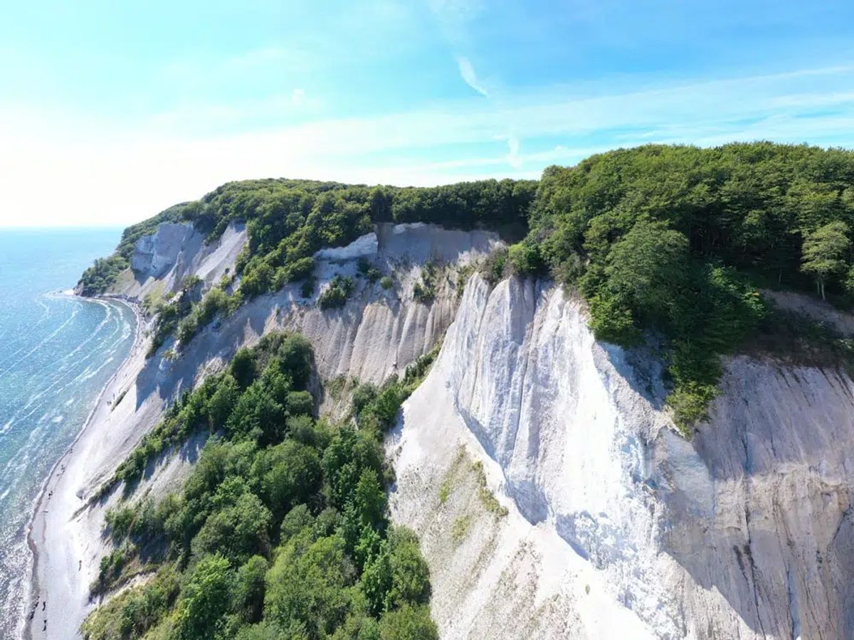 Vandretur m. guide - Klintekongens Rige/Møns Klint - 1 dag for 1 person