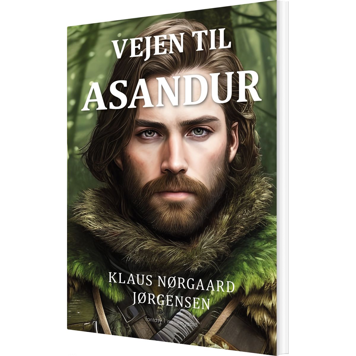 Vejen Til Asandur - Klaus Nørgaard Jørgensen - Bog