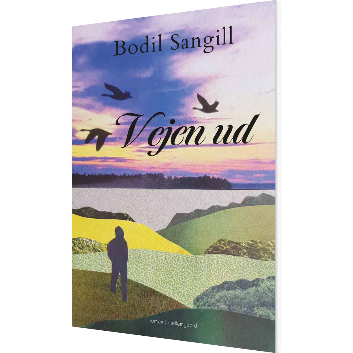 Vejen Ud - Bodil Sangill - Bog