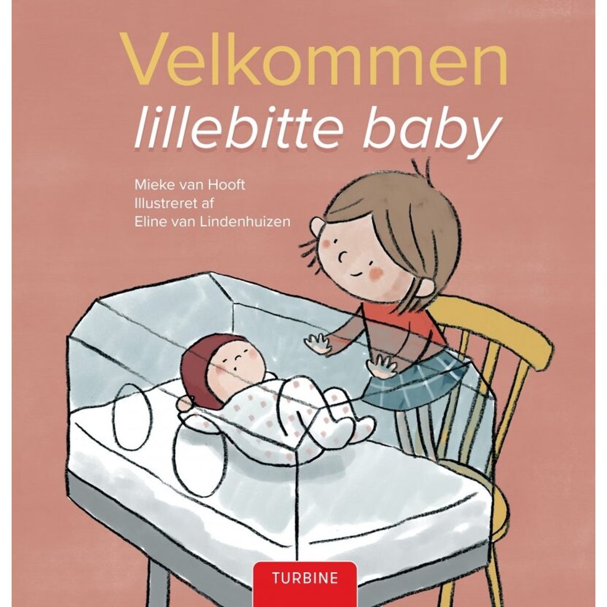 Velkommen Lillebitte Baby - Mieke Van Hooft - Bog