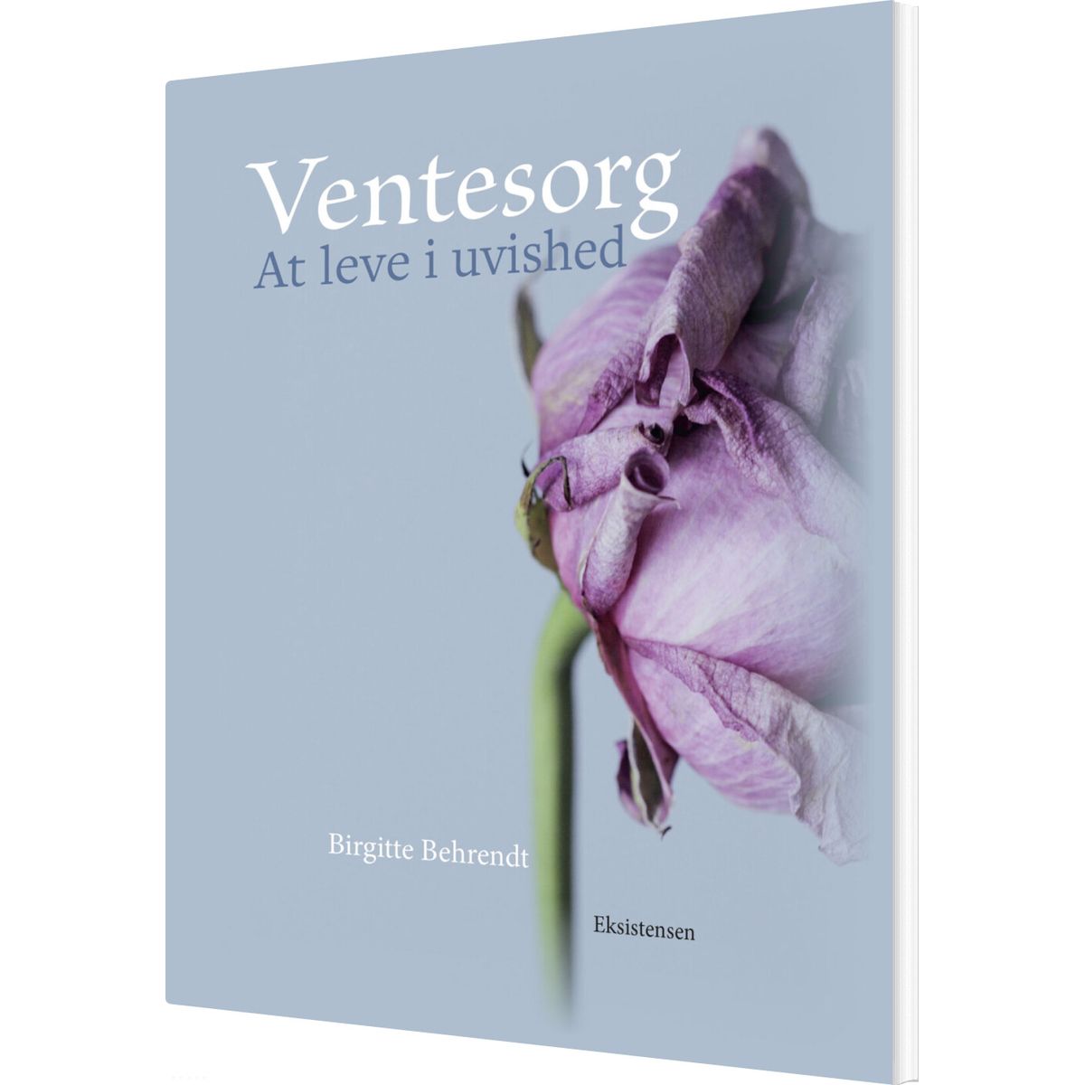 Ventesorg - Birgitte Behrendt - Bog