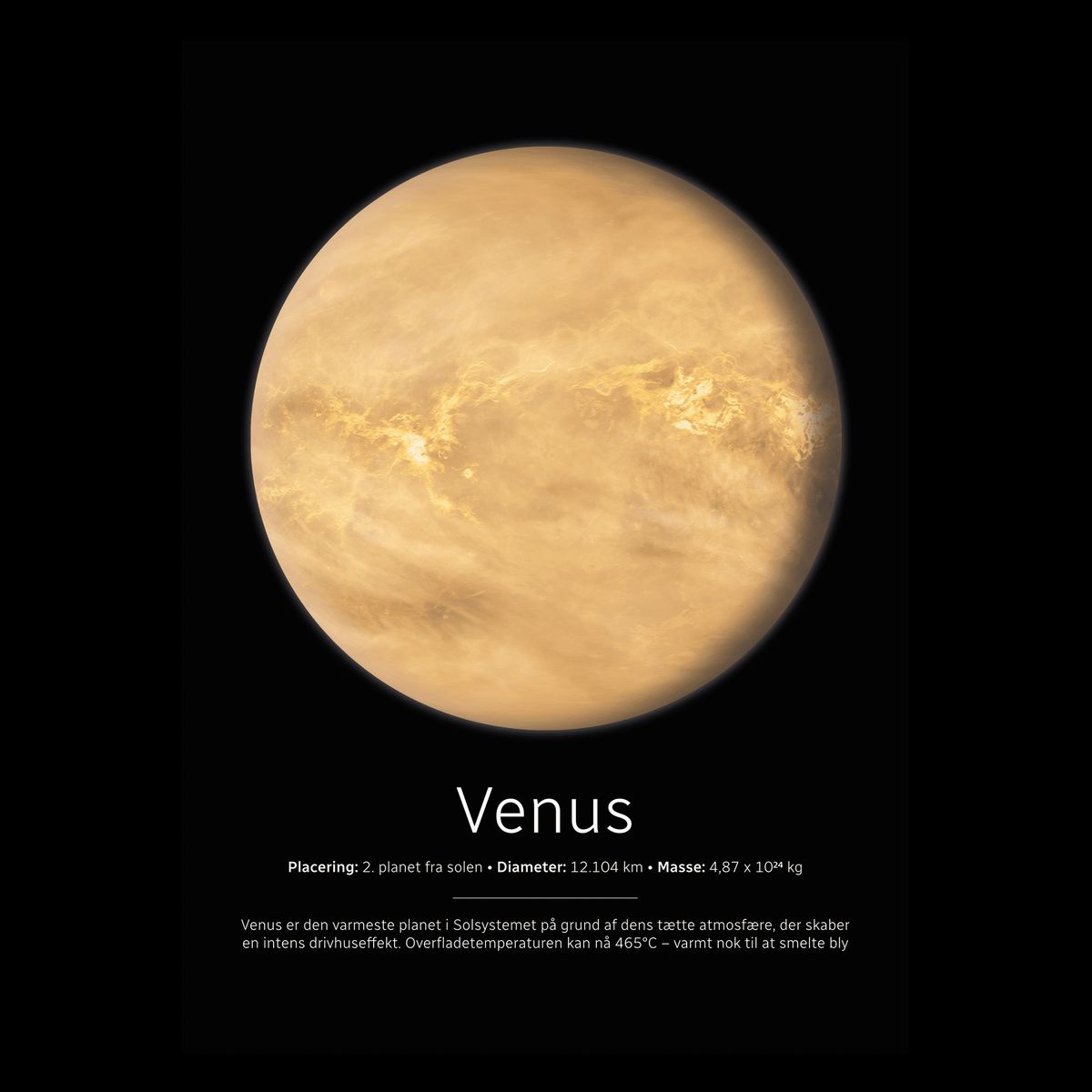 Venus Plakat 42x60 (A2) / Hvid Egetræ