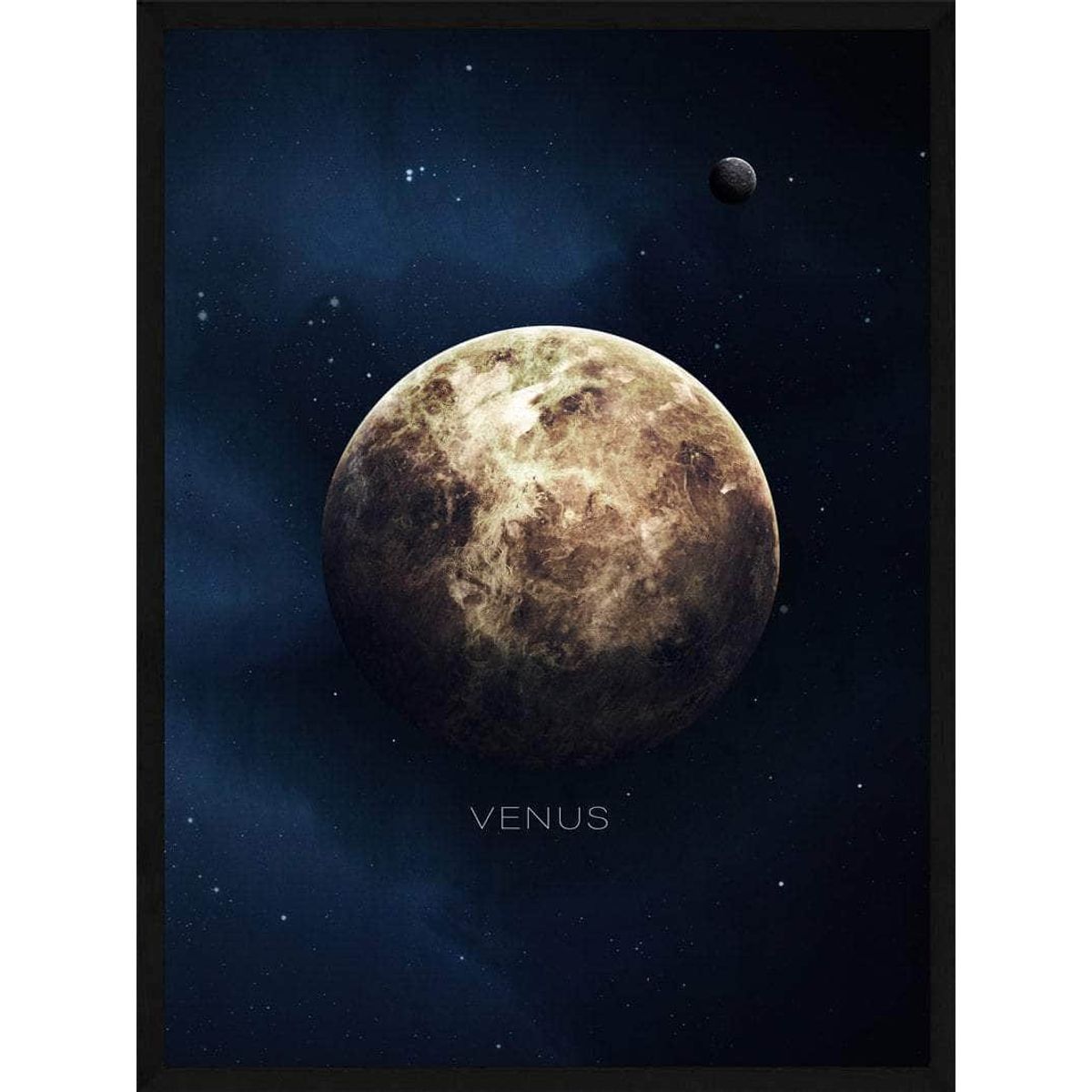 Venus plakat