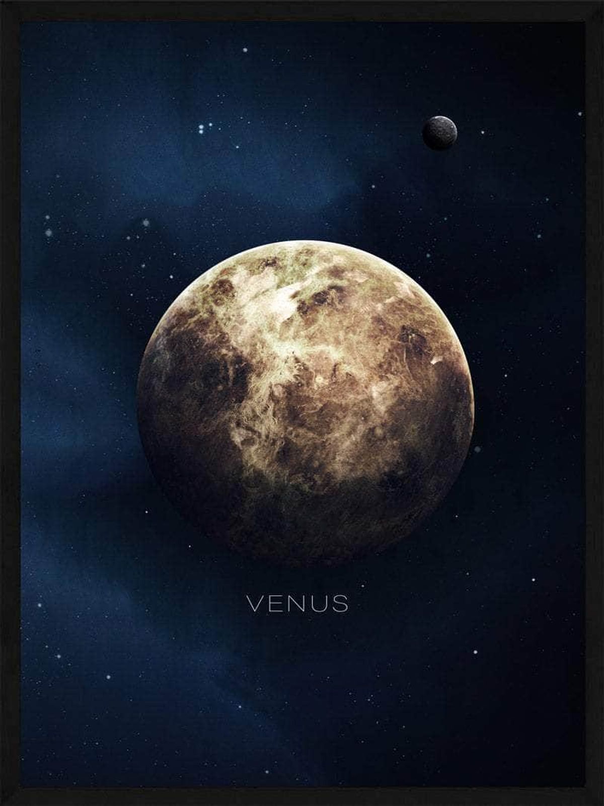 Venus plakat