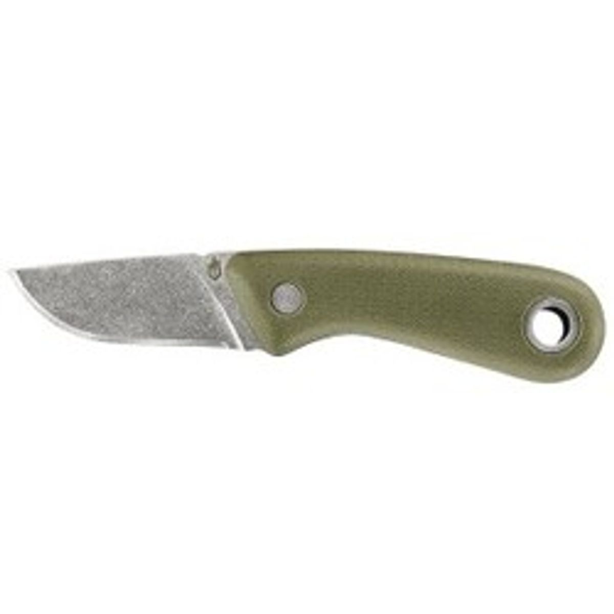 Vertebrae Compact Fixed Blade - Green