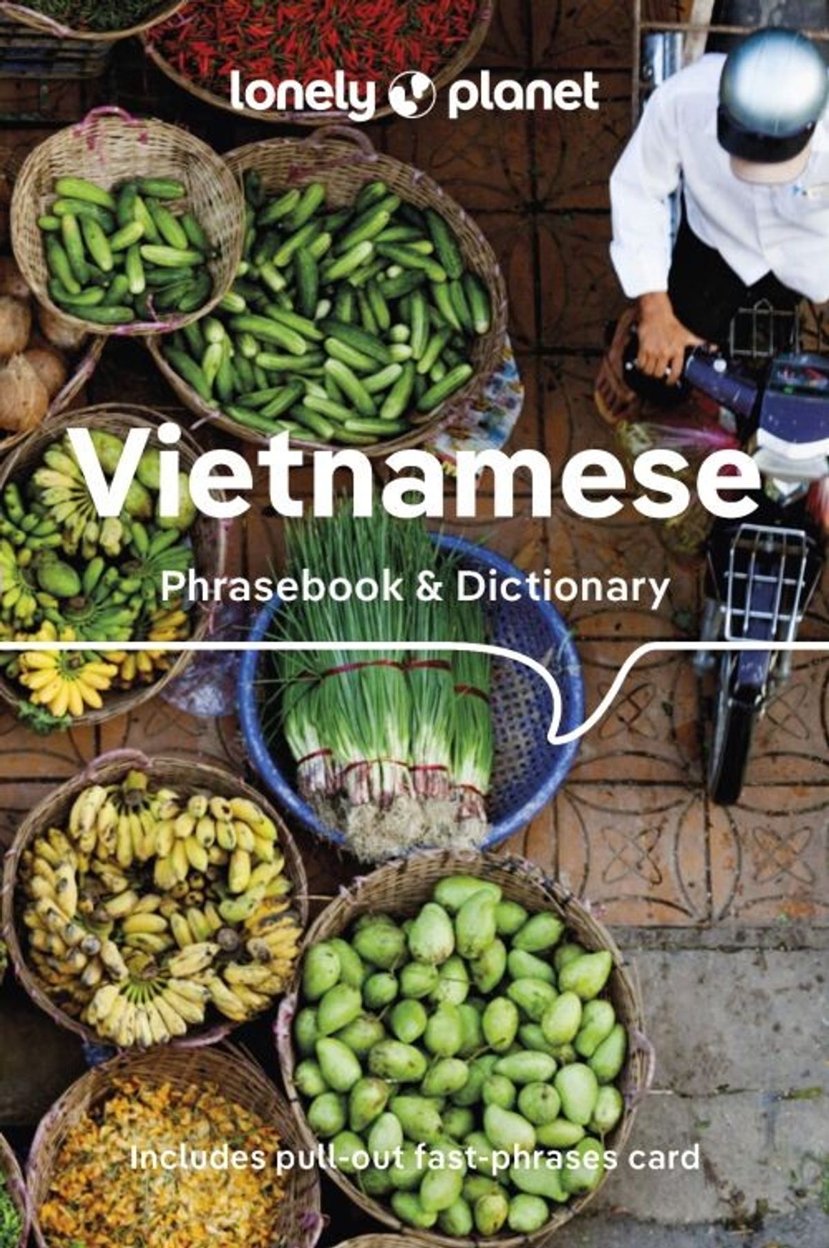 Vietnamese Phrasebook & Dictionary - Diverse - English Book