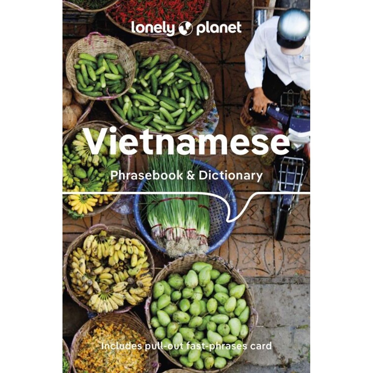 Vietnamese Phrasebook & Dictionary - Lonely Planet - English Book