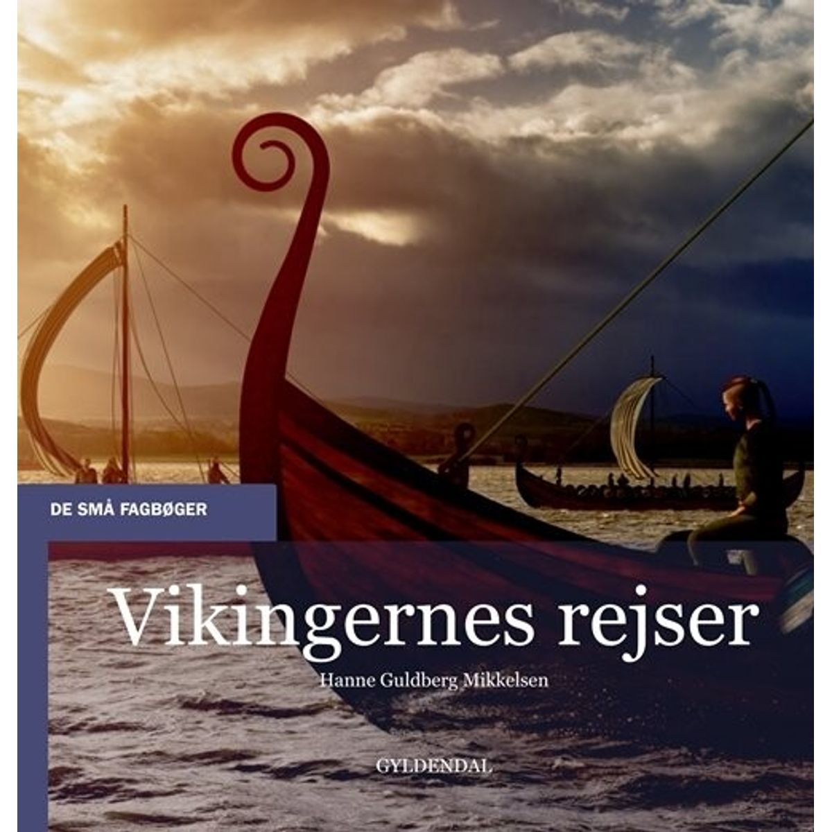 Vikingernes Rejser - Hanne Guldberg Mikkelsen - Bog