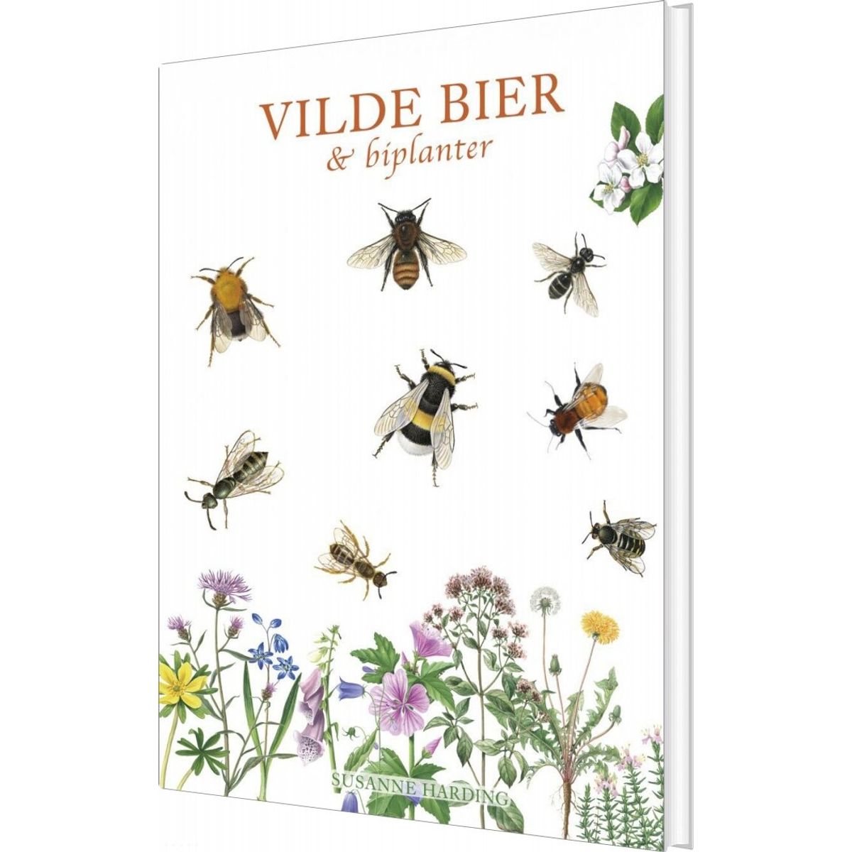 Vilde Bier Og Biplanter - Susanne Harding - Bog