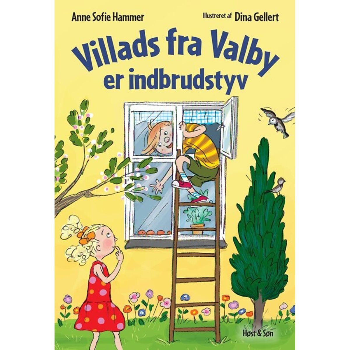 Villads Fra Valby Er Indbrudstyv - Anne Sofie Hammer - Bog