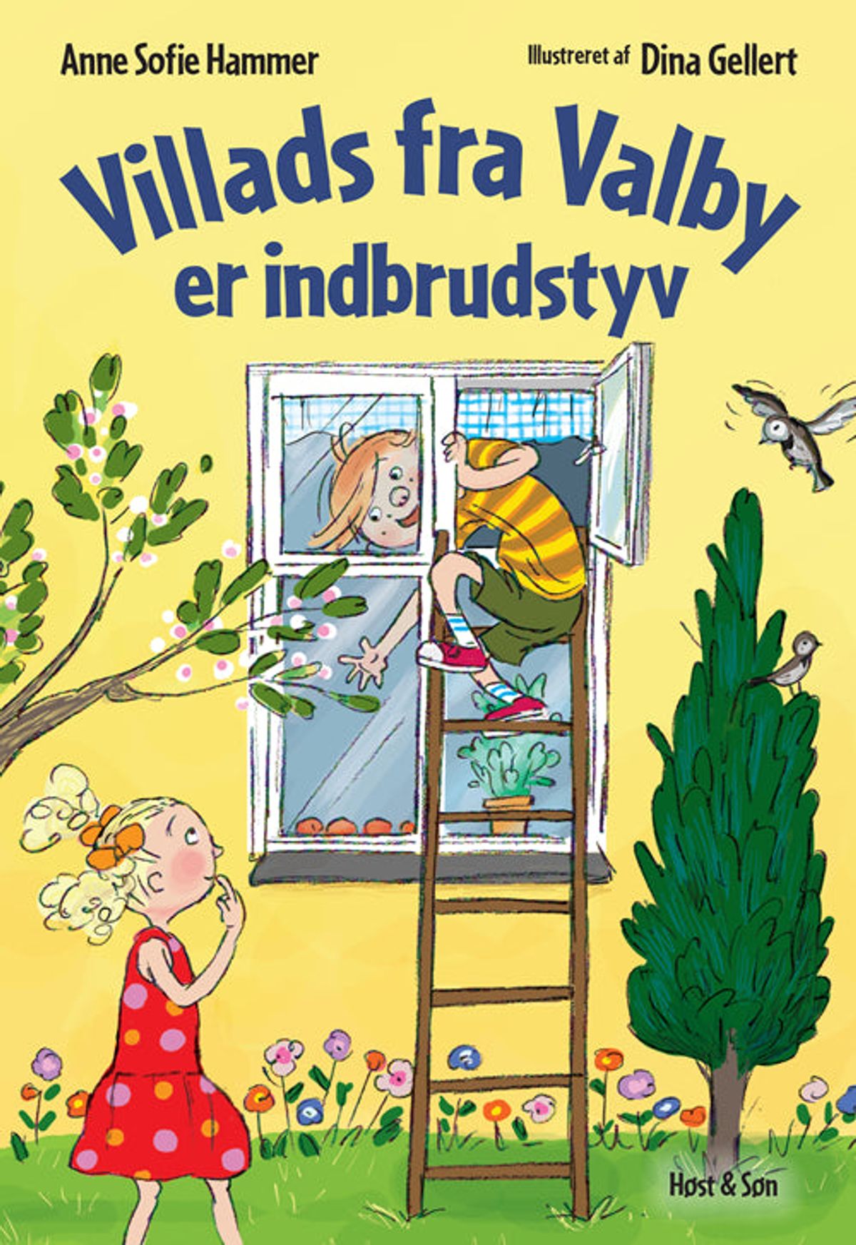 Villads fra Valby er indbrudstyv