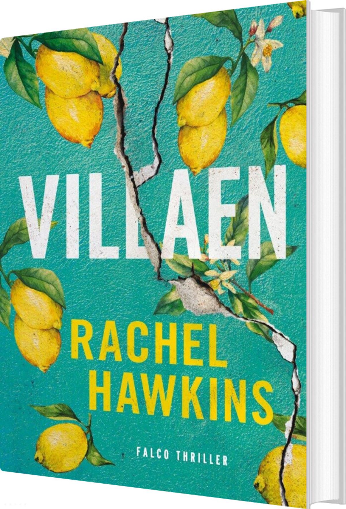 Villaen - Rachel Hawkins - Bog